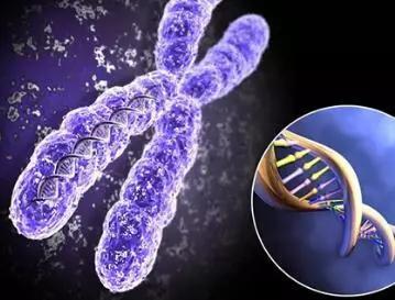 身边的朋友,好多都是两个多月就流产了,胚胎停育到底为什么? 身边的朋友,好多都是两个多月就流产了,胚胎停育到底为什么?