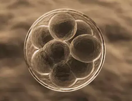 怀孕早期出血,宝宝会怎样? 怀孕早期出血,宝宝会怎样?