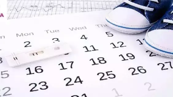 做试管婴儿,医生凭什么还要我签授权委托书? 做试管婴儿,医生凭什么还要我签授权委托书?