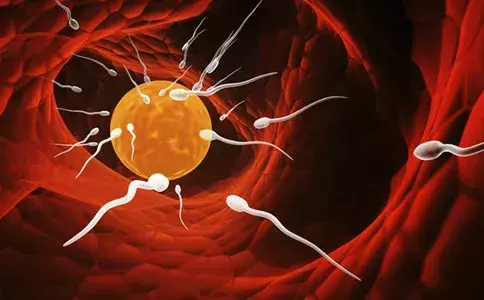 宫外孕还有“双胞胎”?这是怎么一回事? 宫外孕还有“双胞胎”?这是怎么一回事?