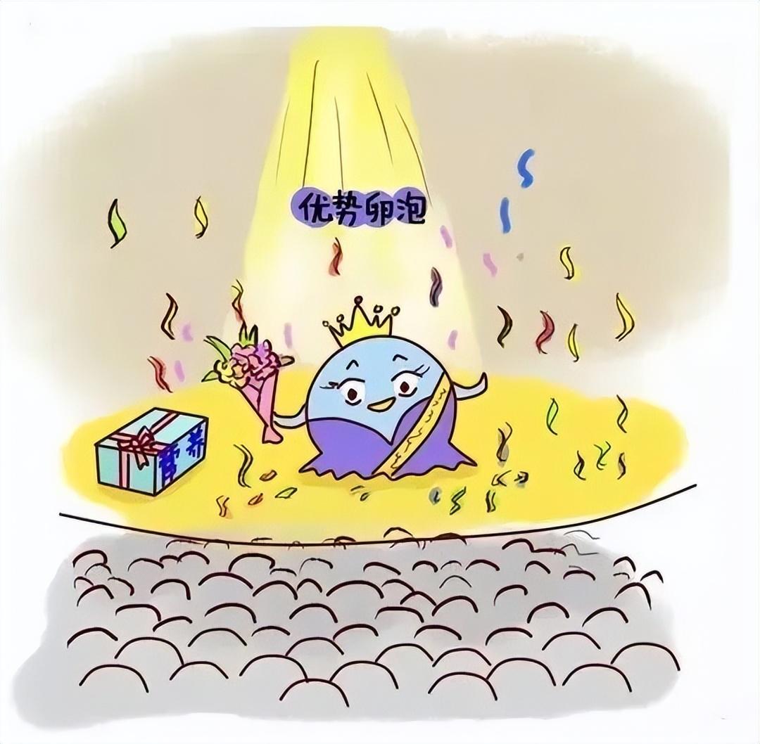 养卵必看:如何养出又大又圆的卵子(超多研究数据) 养卵必看:如何养出又大又圆的卵子(超多研究数据)