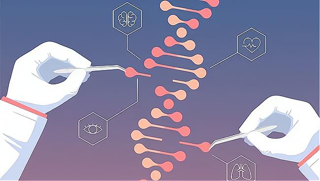 什么是胚胎单基因诊断？