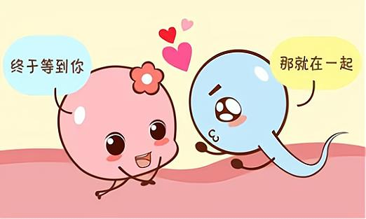 什么是精液冷冻复苏？