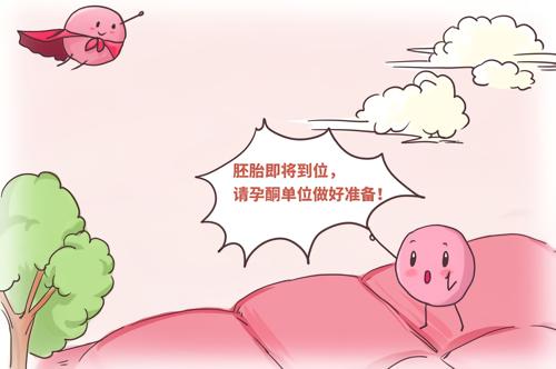 黄体功能不足：孕激素的来源和功能