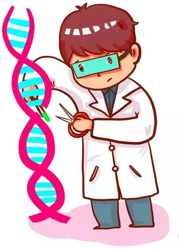 不孕和流产的男方因素 不孕和流产的男方因素