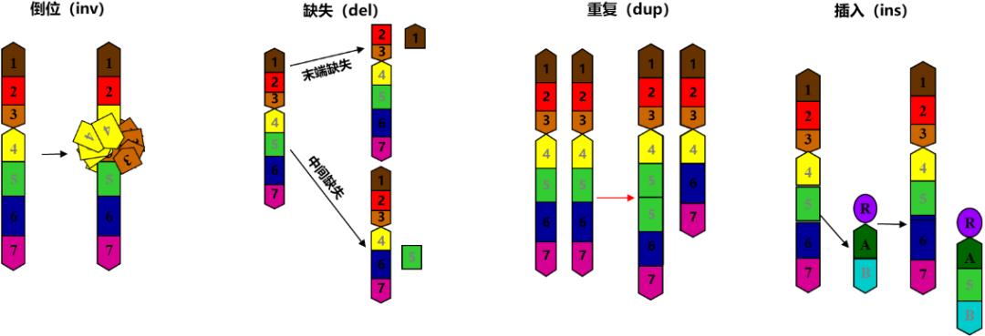 不孕和流产的男方因素 不孕和流产的男方因素