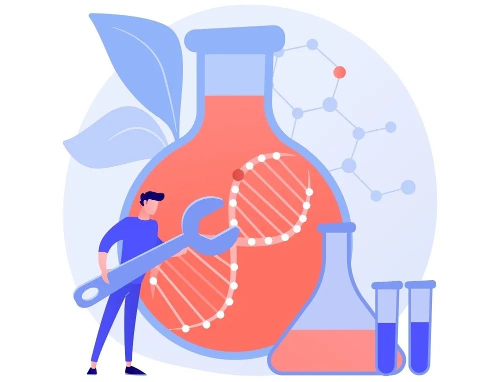 不孕和流产的男方因素 不孕和流产的男方因素