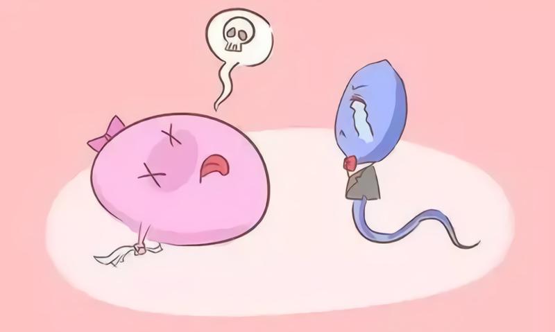 排卵有障碍,一定适合做促排卵? 排卵有障碍,一定适合做促排卵?