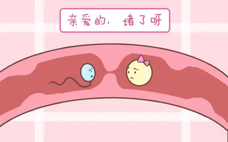 排卵有障碍,一定适合做促排卵? 排卵有障碍,一定适合做促排卵?