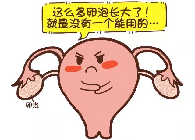 胰岛素抵抗和不孕、流产有什么关系? 胰岛素抵抗和不孕、流产有什么关系?