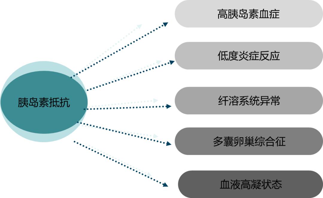 胰岛素抵抗和不孕、流产有什么关系? 胰岛素抵抗和不孕、流产有什么关系?