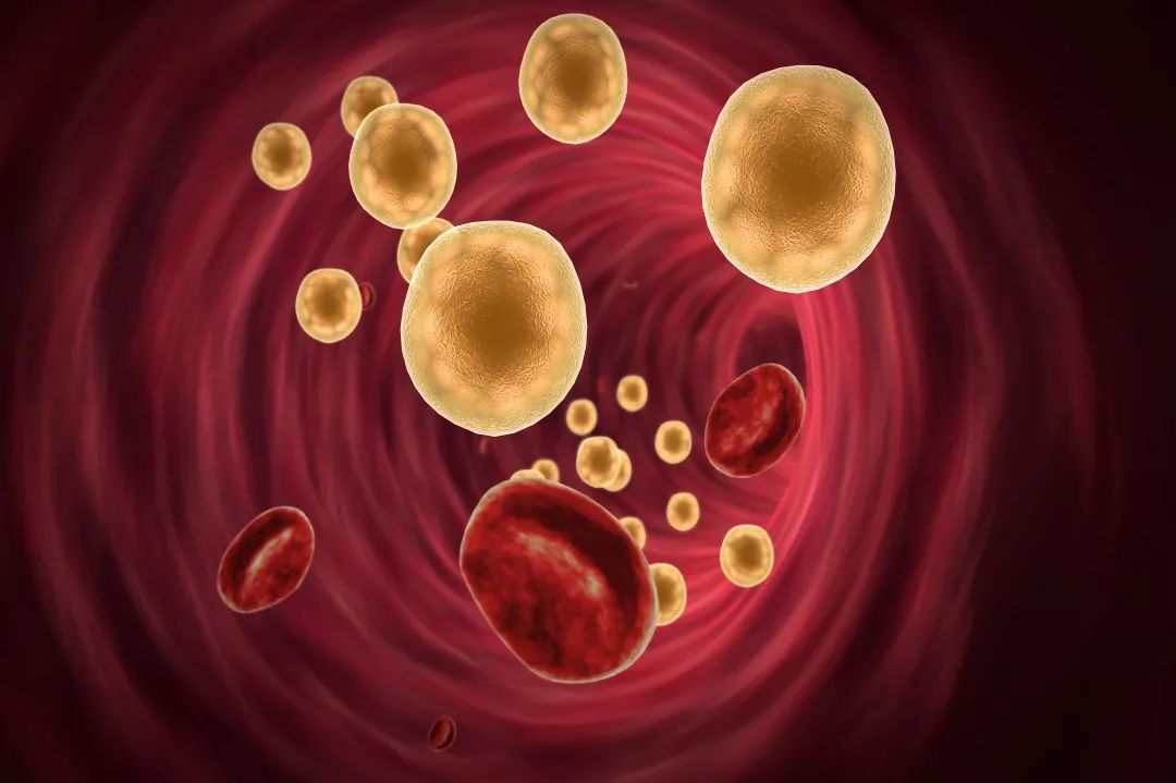 什么是易栓症?什么是APC抵抗? 什么是易栓症?什么是APC抵抗?