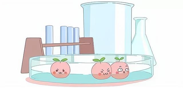 什么是冷冻胚胎复苏? 什么是冷冻胚胎复苏?