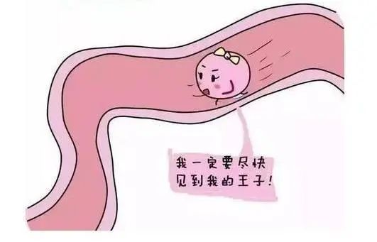 什么是促排卵治疗综合评估? 什么是促排卵治疗综合评估?