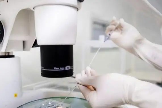 揭秘！美国三代试管助孕核心技术介绍