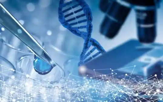 女和女可以做试管婴儿，实现自己拥有一个幸福家庭的梦想