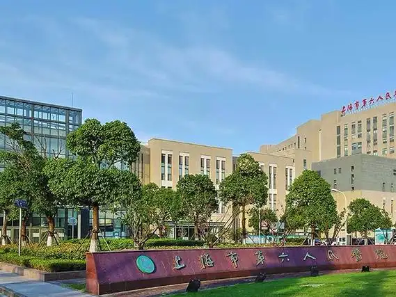 上海市第六人民医院试管婴儿费用预估，单周期需5万元