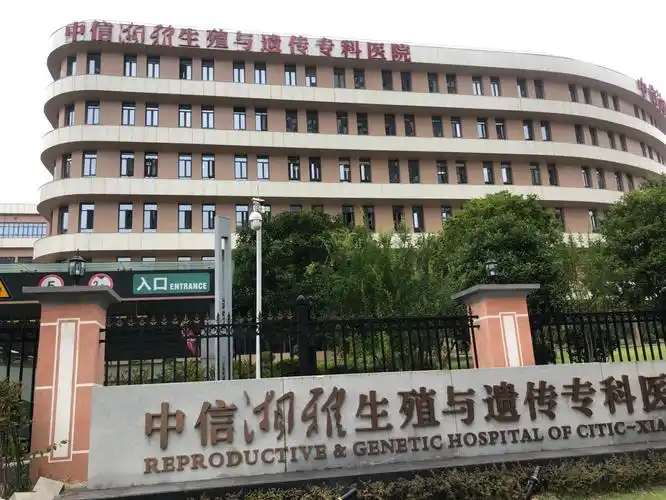 中信湘雅试管成功案例-胎停三次试管一次，我终于救了孩子！