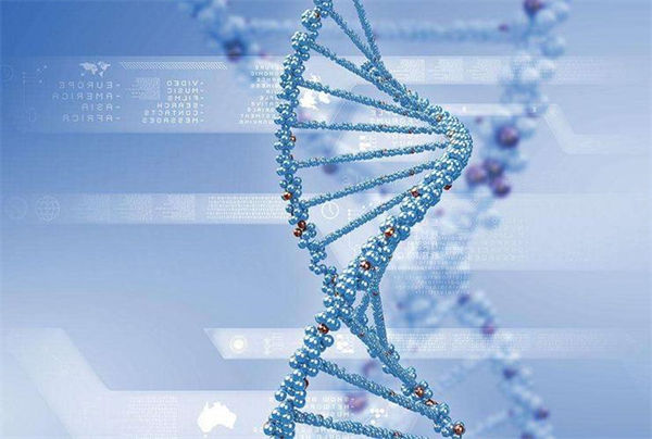 试管打夜针后需要做什么检查？性激素六项必不可少