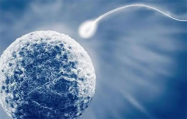 三代试管婴儿要多少钱？请保留这份家庭辅助怀孕费用清单