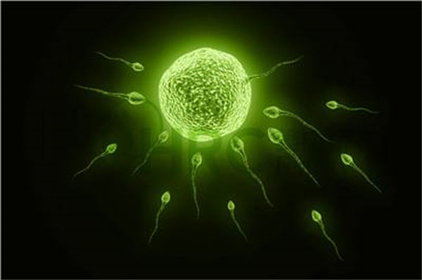 长春地区有哪些私立的机构可以做试管技术?做排卵监测发现只有右侧有一个优势卵泡正常吗？