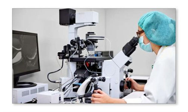 大理试管婴儿医院，附成功率、费用