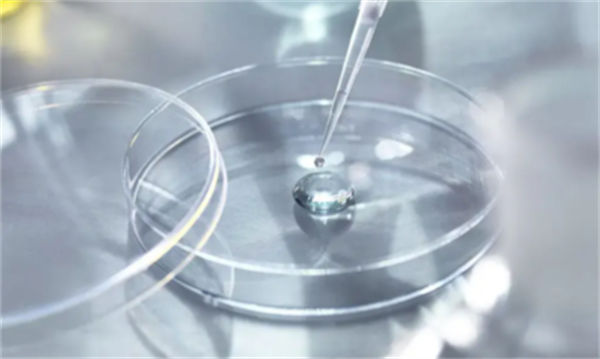 泰国做试管的多少钱啊？价格比国内更优惠