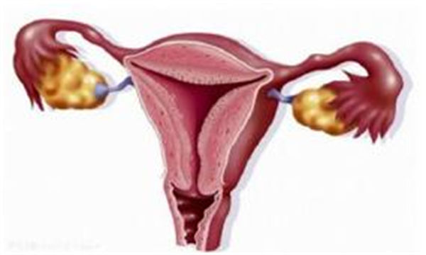 35岁巧克力囊肿试管失败几率有多大？