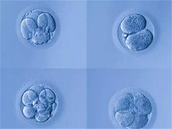 九江永修县试管婴儿在哪做呢?