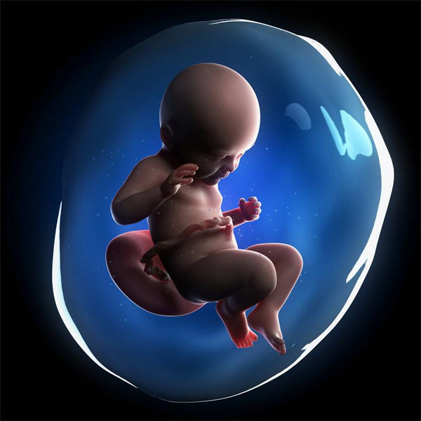 高龄三代试管对囊胚筛选有多大影响？附成功率分析