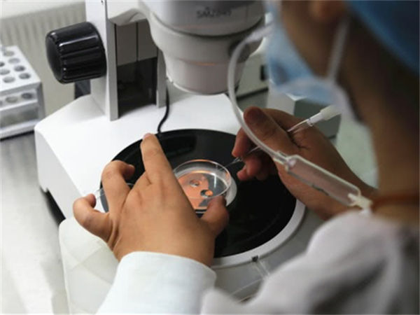 "乙肝携带者进行试管婴儿的注意事项与操作指南"