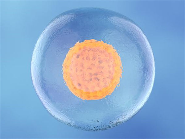 基础卵泡才2个能自然受孕吗？能做试管吗？想生育选对方案是关键！