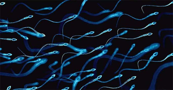 试管婴儿要求子宫内膜厚度多少？