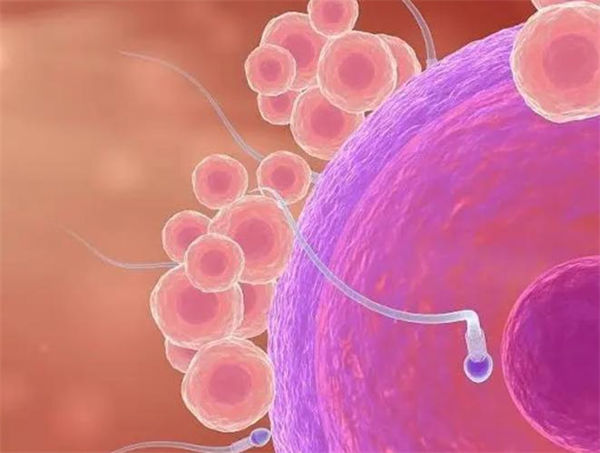 在宁波输卵管结扎后做试管成功率怎么样，输卵管结扎患者做试管的成功率及费用详解