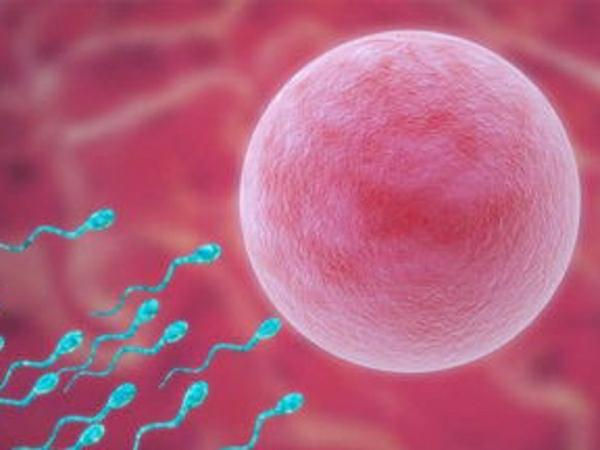 北京第三三代试管婴儿费用大约多少？