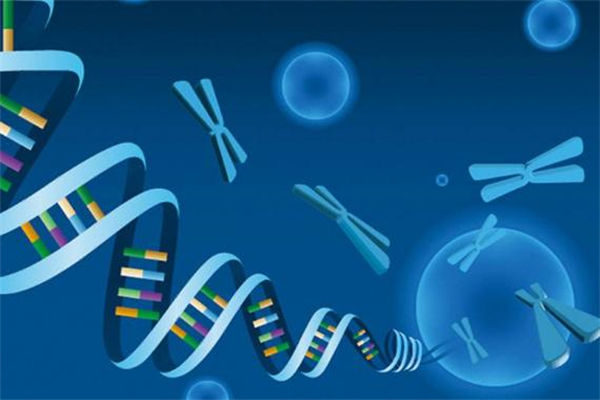 2024泰国三代试管费用知多少？避坑指南看这里！