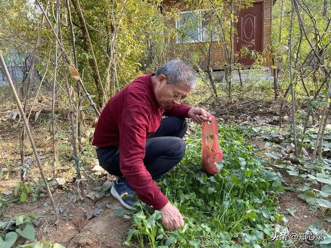 19年山东67岁大妈高龄产女,称工资过万不会麻烦子女,现状如何?