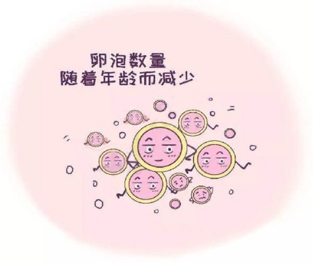 卵子数量减少的原因是什么? 卵子数量减少的原因是什么?