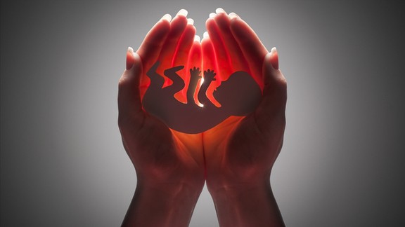 药流伤身,还是人流手术伤身?听听妇科医师怎么说 药流伤身,还是人流手术伤身?听听妇科医师怎么说