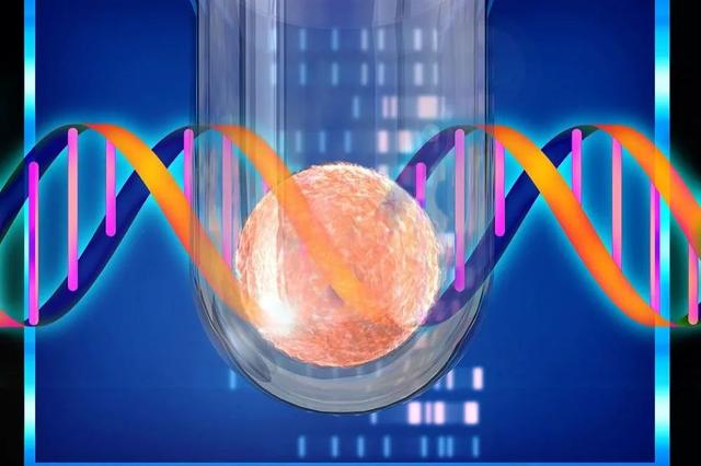 三代试管科普：夫妻染色体正常，为什么胚胎染色体异常？