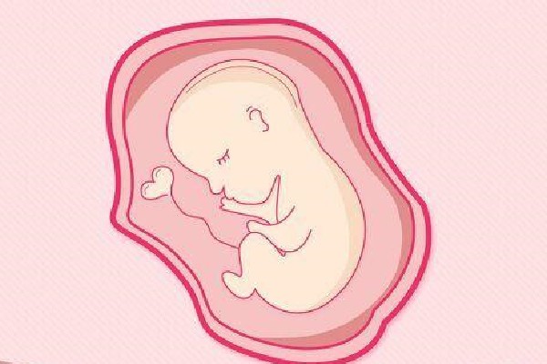 试管婴儿什么时期植入母体？