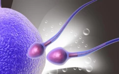 男性备孕如何检查精子是否健康？