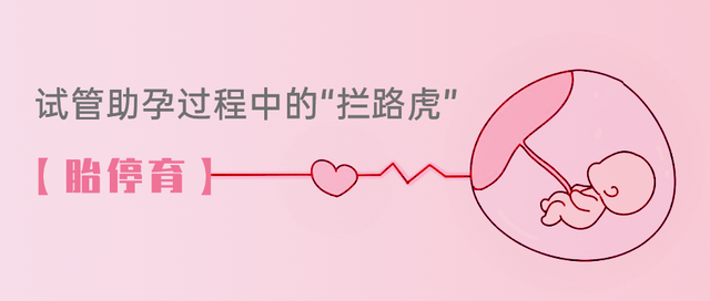 试管助孕中胎停育的原因 试管助孕中胎停育的原因