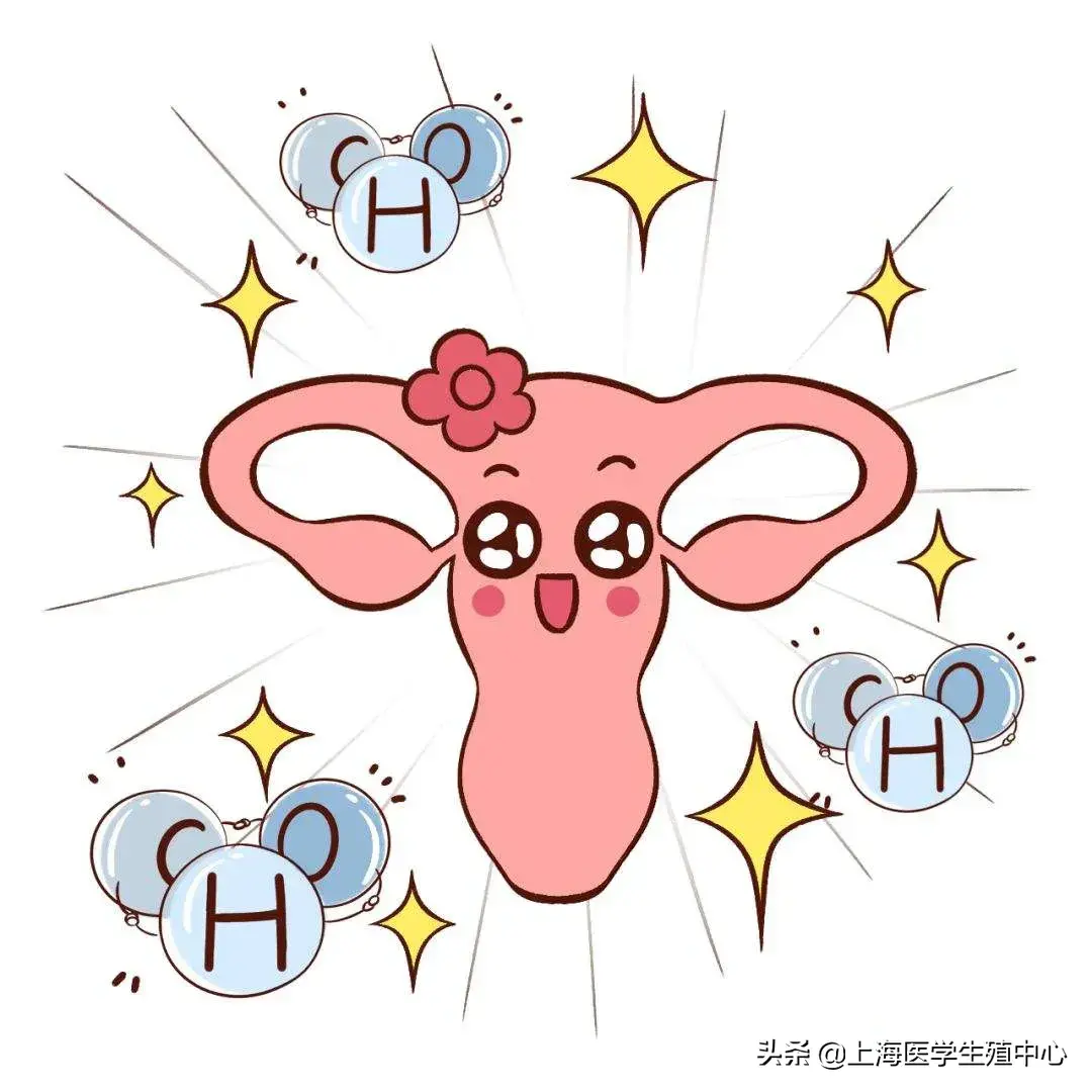 女性雌激素低怎么办？具体症状又有哪些？