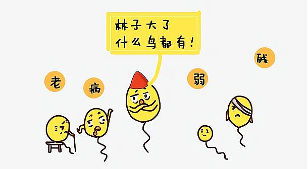 精液质量差？精子优选处理了解一下