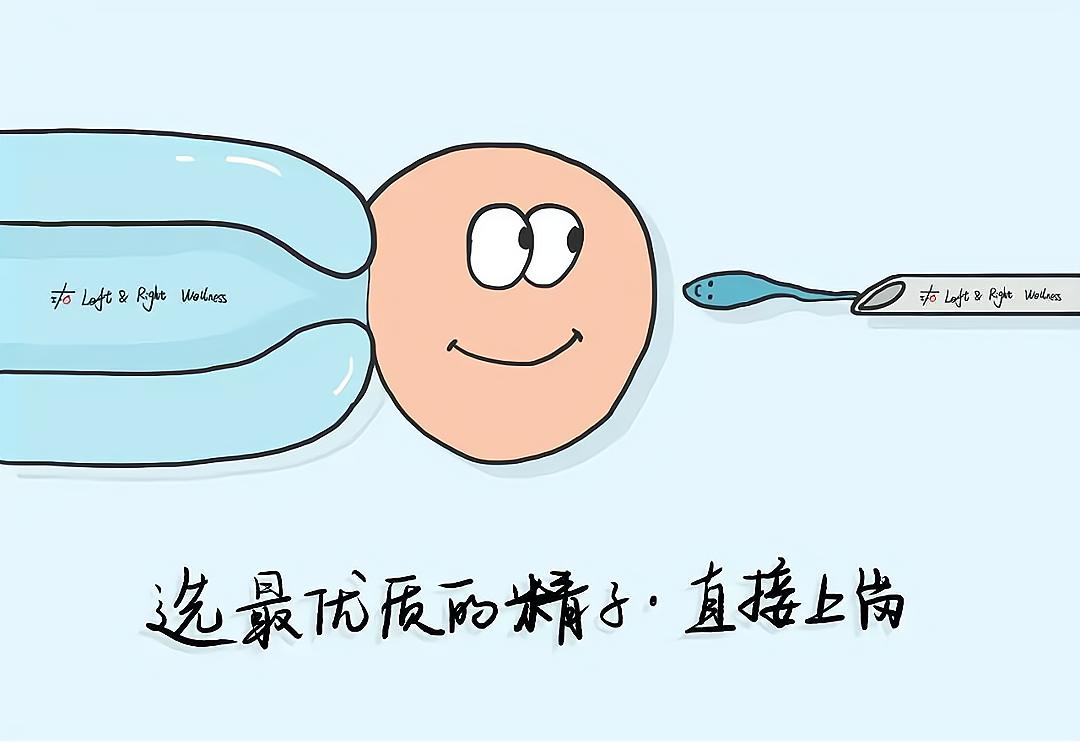 精液质量差？精子优选处理了解一下